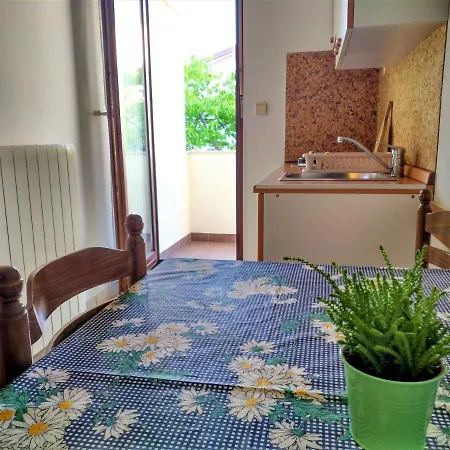 Petra Apartment *